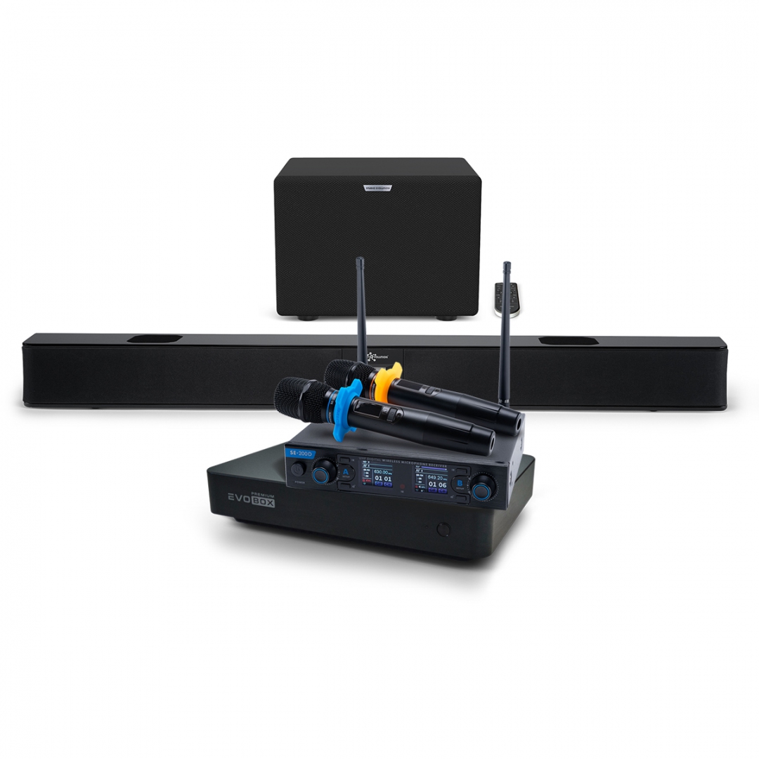 Hi-End караоке-система EVOBOX Premium + EvoSoundBar (саундбар с караоке) в Дивногорске