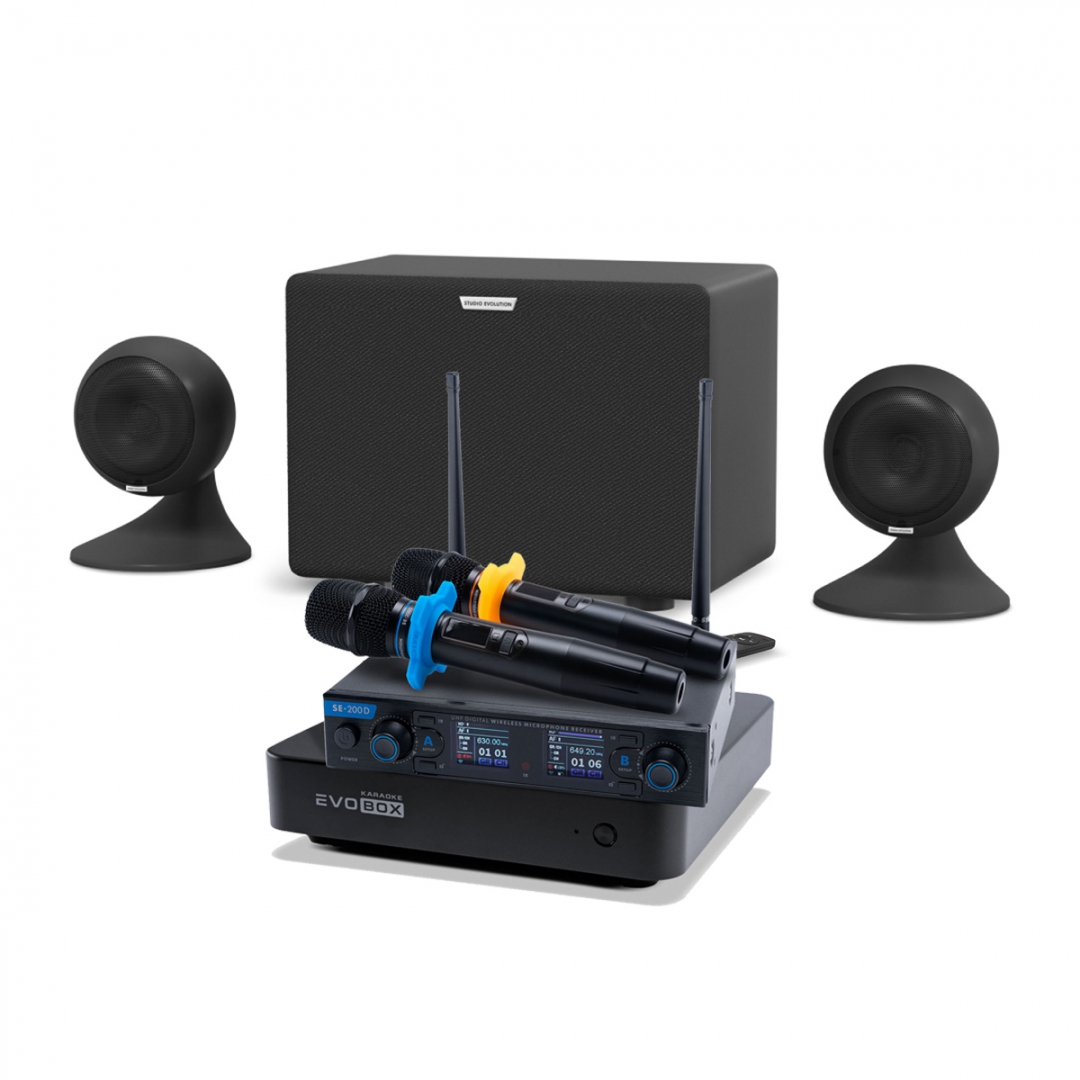 караоке-комплект EVOBOX + EvoSound Sphere 2.1 в Дивногорске