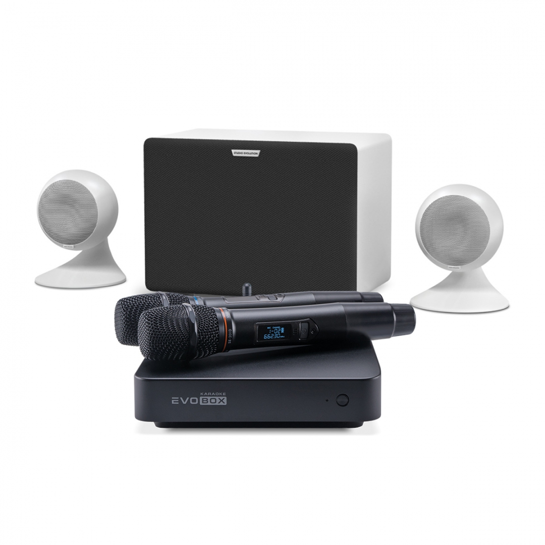 караоке-комплект EVOBOX Classic + EvoSound Sphere 2.1 в Дивногорске