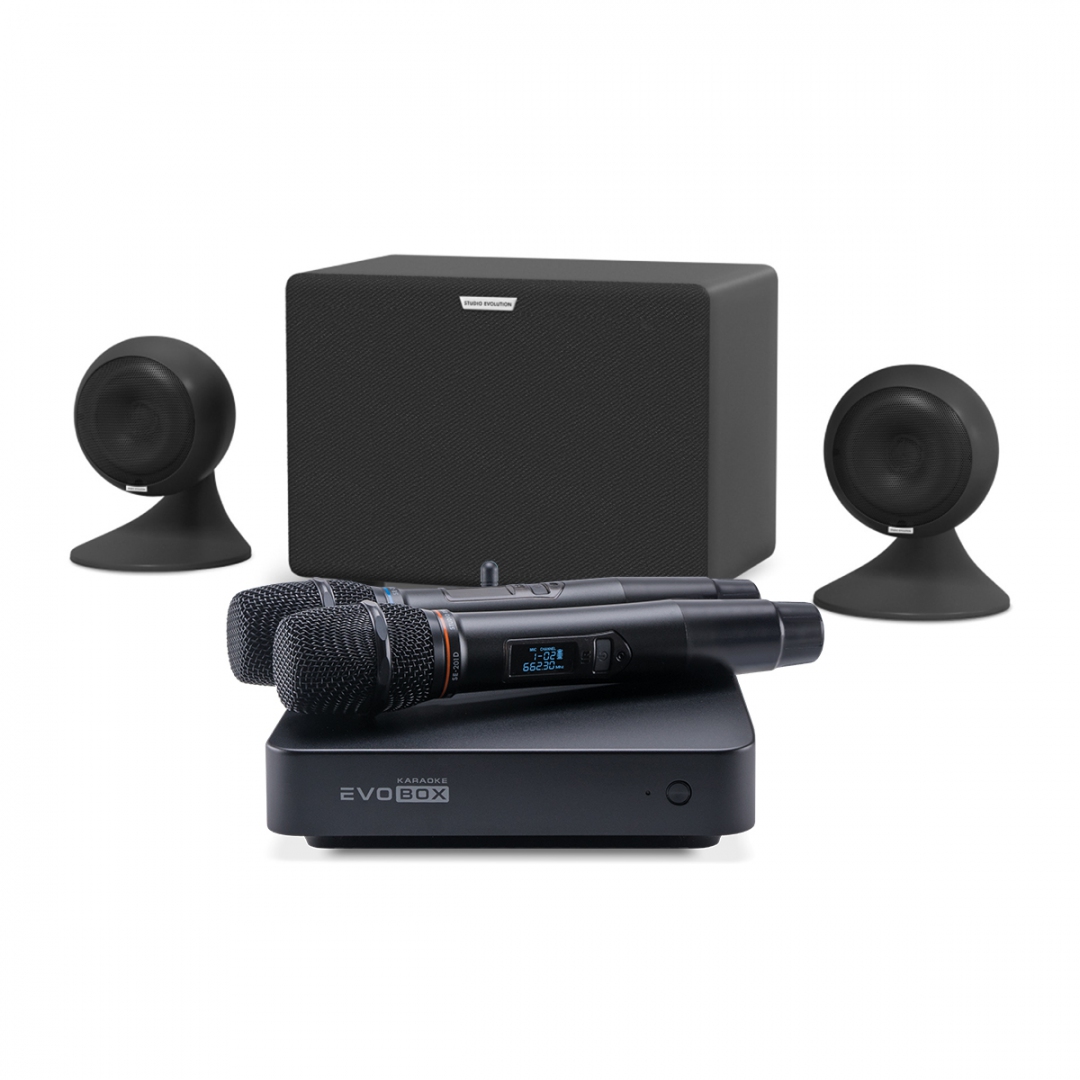 караоке-комплект EVOBOX Plus + EvoSound Sphere 2.1 в Дивногорске