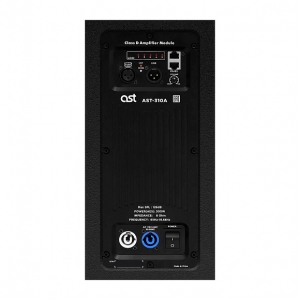 Активная акустическая система AST-310A в Дивногорске