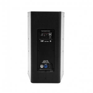 Активная акустическая система AST-310A в Дивногорске
