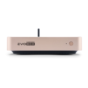 EVOBOX Classic караоке-система для дома в Дивногорске