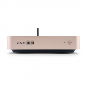 EVOBOX Plus караоке-система для дома в Дивногорске