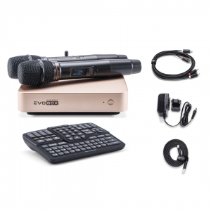 EVOBOX Plus караоке-система для дома в Дивногорске