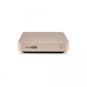 EVOBOX с микрофонами в Дивногорске